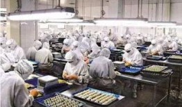 最新爆料工厂,最新工厂爆料，行业变革即将来临！